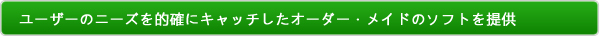 ユーザーのニーズを的確にキャッチしたオーダー・メイドのソフトを提供